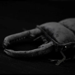 Stag Beetle Soft Stuffed Plush Toy