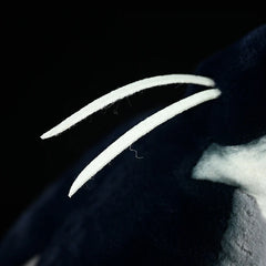 Night Bird Soft Stuffed Plush Toy