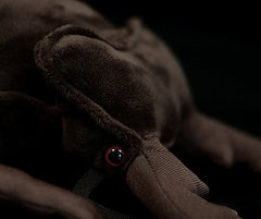 Stag Beetle Plush Toy