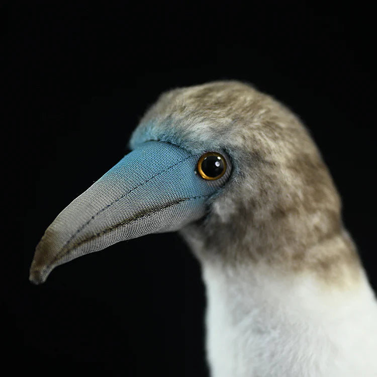 Blue-footed Bird Soft Stuffed Plush Toy