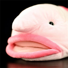Soft Stuffed Blobfish Plush Toy