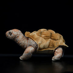 Soft Stuffed Tortoise Plush Toy