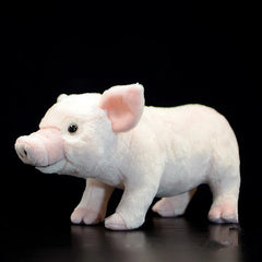 Soft Stuffed Domestic Pig Plush Toy