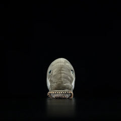 Soft Stuffed Plush Eel-like Toy