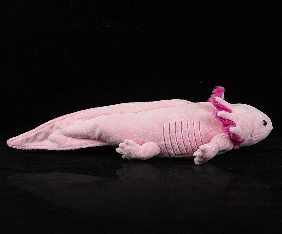 Pink Axolotl Stuffed Plush Toy