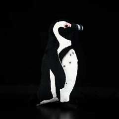 African Penguin Soft Stuffed Plush Toy