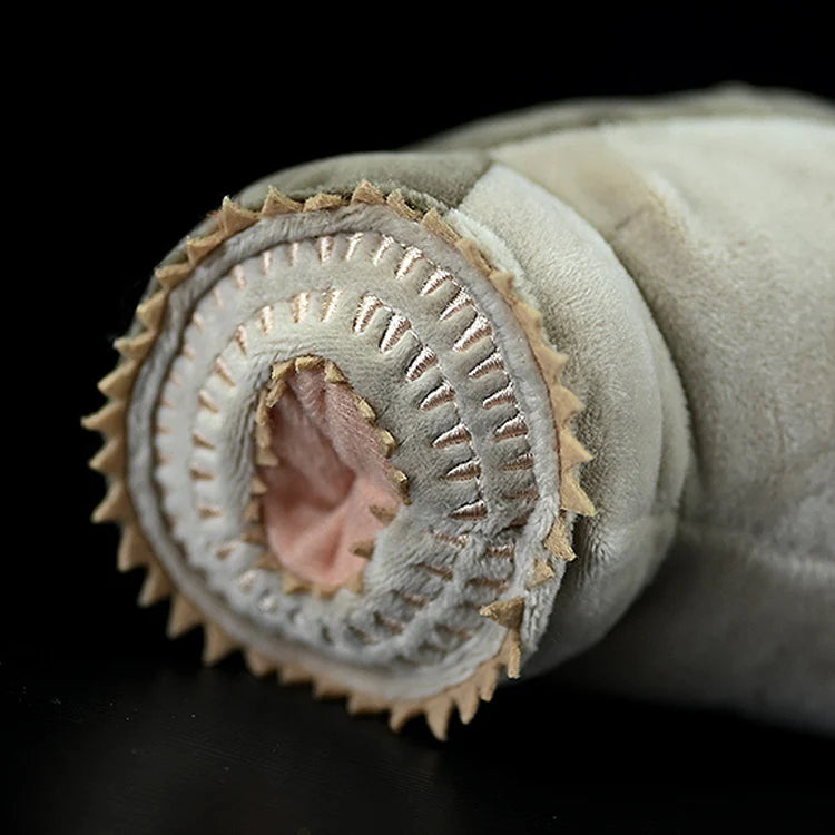 Soft Stuffed Plush Eel-like Toy