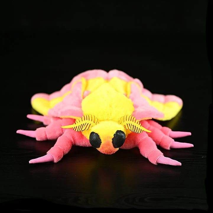 Pink Moth Soft Stuffed Plush Toy