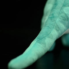 Dinosaur Soft Stuffed Plush Toy