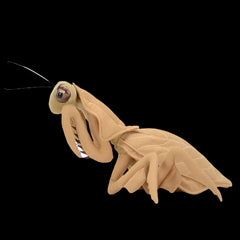 Dead Leaf Mantis Soft Stuffed Plush Toy