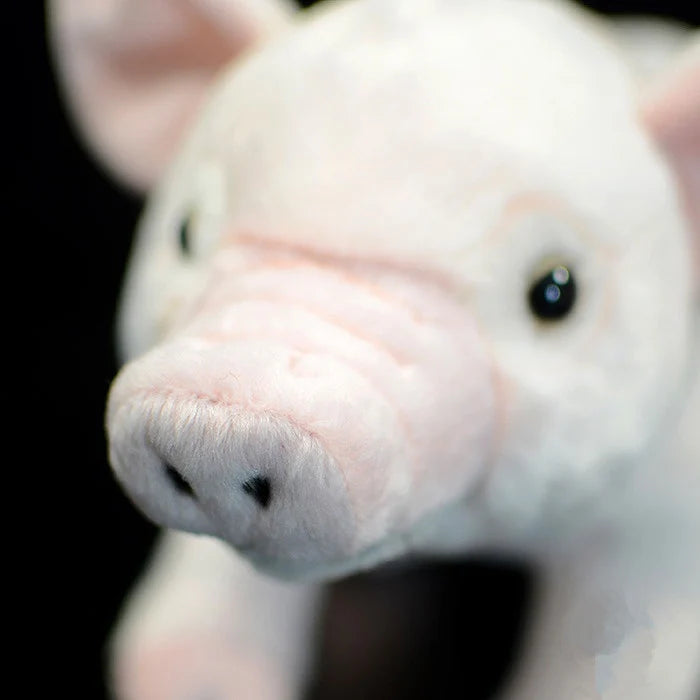 Soft Stuffed Domestic Pig Plush Toy