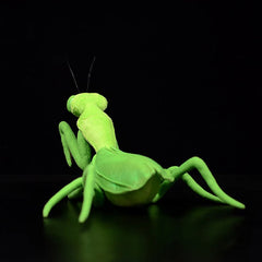 Green Mantis Soft Stuffed Plush Toy