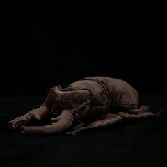 Stag Beetle Plush Toy