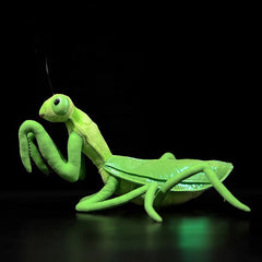 Green Mantis Soft Stuffed Plush Toy