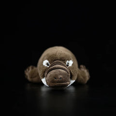 Duckbill Platypus Stuffed Soft Toy