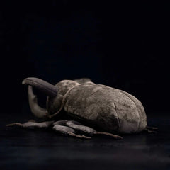 Beetle Soft Stuffed Plush Toy