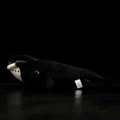 Arctic Whale Soft Stuffed Plush Toy