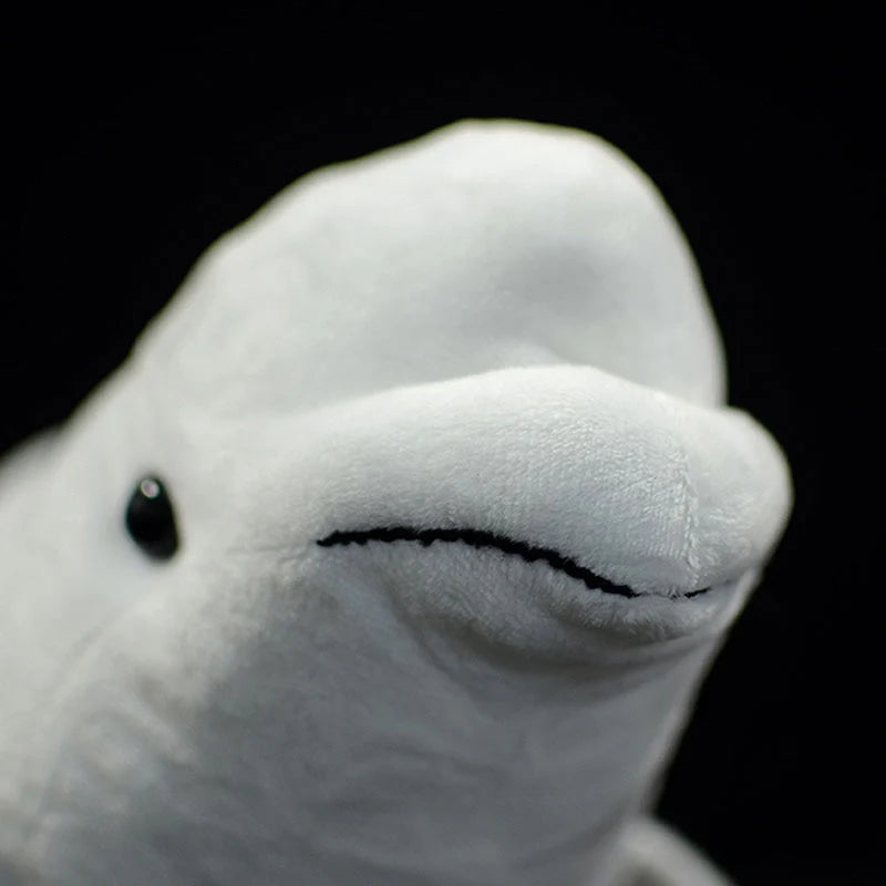 White Whale Soft Stuffed Plush Toy