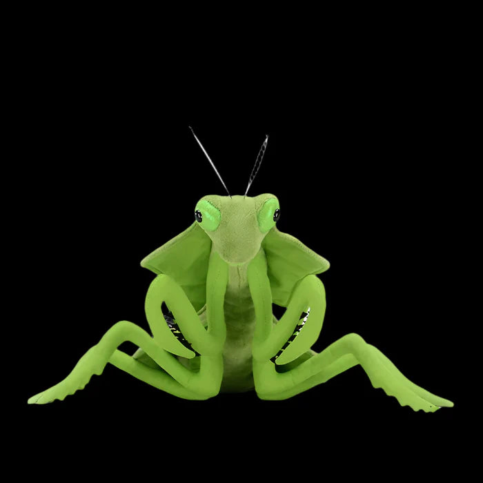 Soft Stuffed Plush Praying Mantis Toy