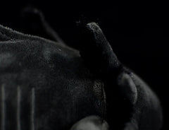 Black Axolotl Soft Stuffed Toy