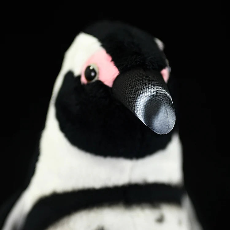 African Penguin Soft Stuffed Plush Toy