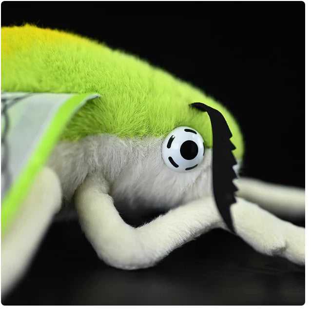 Translucent Hawkmoth Soft Stuffed Plush Toy