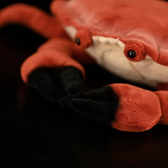 Red Crab Soft Stuffed Plush Toy
