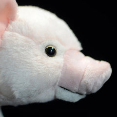 Soft Stuffed Domestic Pig Plush Toy